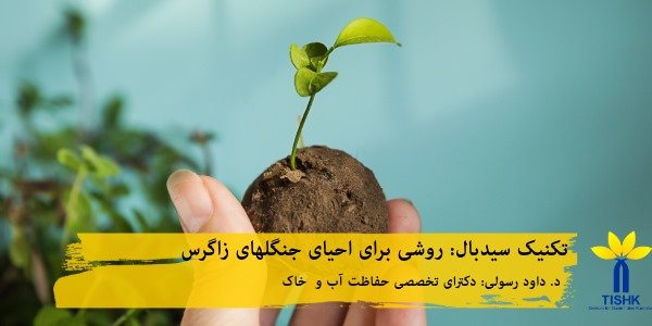 تکنیک سیدبال (Seedball‎) روشی برای احیای جنگلهای زاگرس