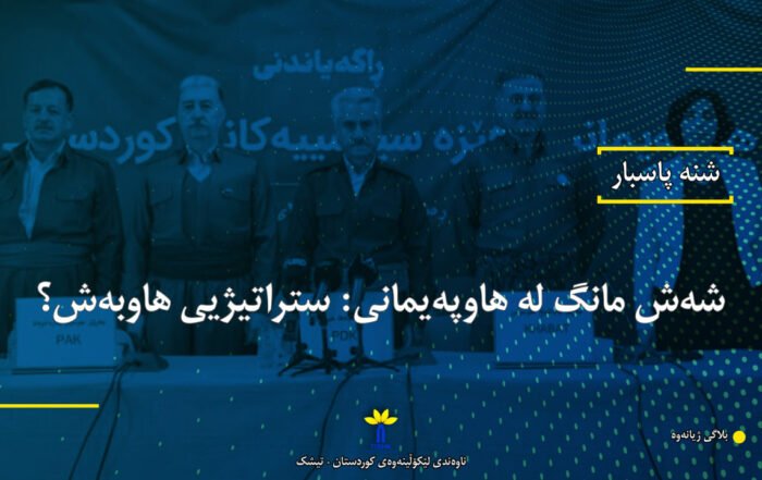 شەش مانگ لە هاوپەیمانی: ستراتیژیی هاوبەش؟